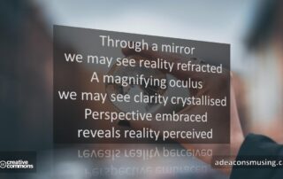Reality Perceived