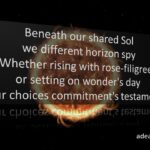 Shared Sol