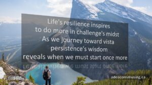Persistence's Wisdom