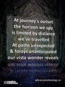Wonder Reveals