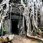The Threshold