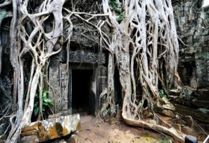 The Threshold
