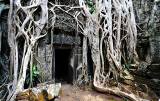 The Threshold