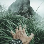 Finger's Reach