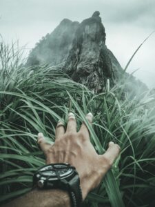 Finger's Reach
