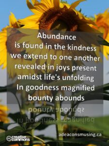 Bounty Abounds