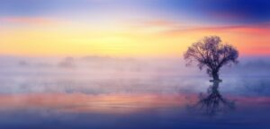 Peace