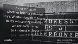 Kindness Embrace
