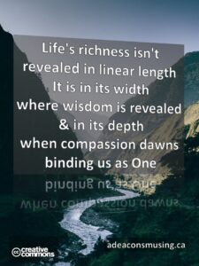 Life's Richness
