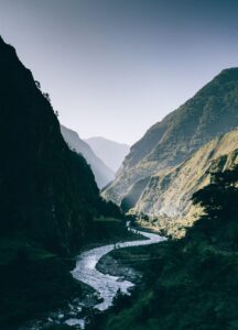 Life's Richness