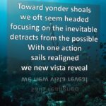 New Vista