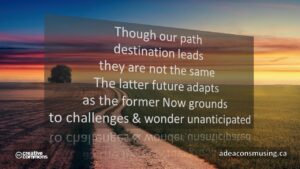 Wonder Unanticipated