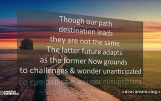 Wonder Unanticipated
