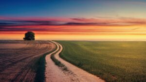 Wonder Unanticipated