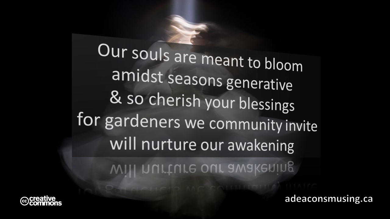 Our Awakening