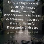 Divine Joy
