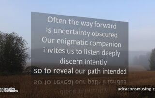 Path Revealed