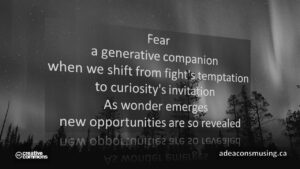 Wonder Emerges