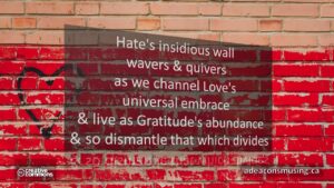 Gratitude's Abundance