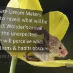 Dream Makers