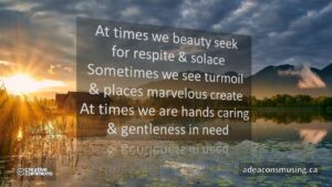 Beauty Seek
