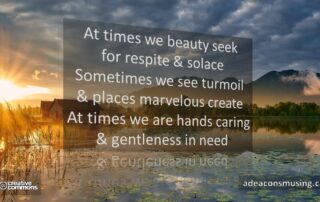 Beauty Seek