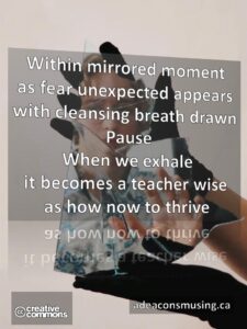 Fear Unexpected