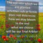 May Bloom