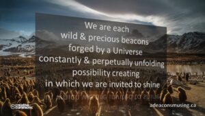 Invited to Shine
