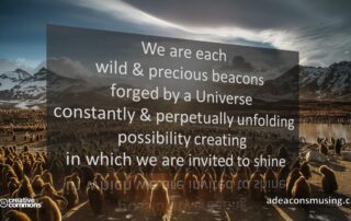 Invited to Shine
