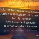 Wonder Illumines