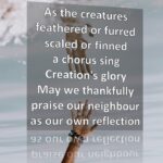 Our Reflection