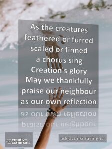 Our Reflection