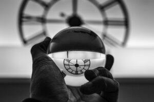 Time's Web