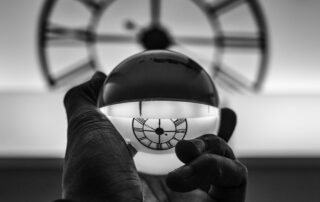 Time's Web