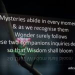 Wisdom Blooms