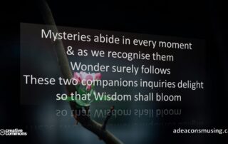 Wisdom Blooms
