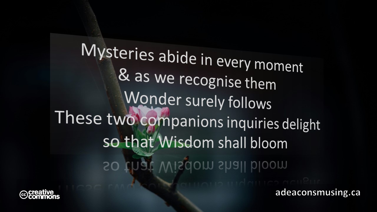 Wisdom Blooms