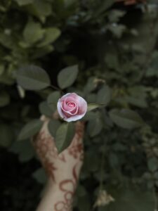Beloved