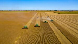 Harvest