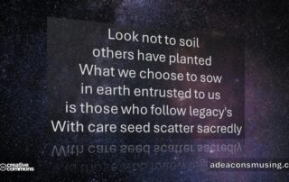 Scatter Sacredly