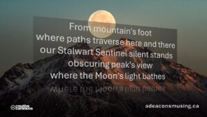 Moon's Light