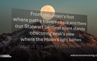 Moon's Light