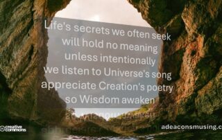 Wisdom Awaken
