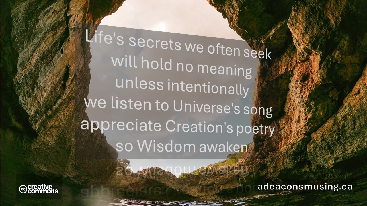 Wisdom Awaken