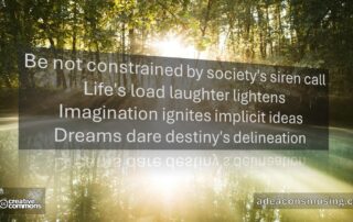 Dare Destiny