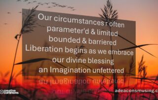 Imagination Unfettered