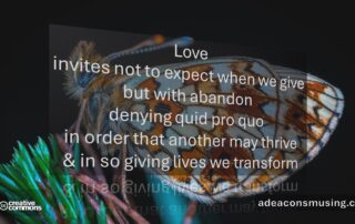 We Transform