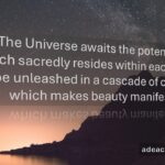 Beauty Manifest