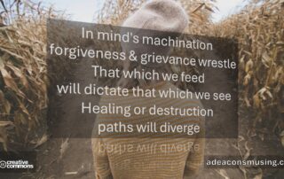 Paths Diverge